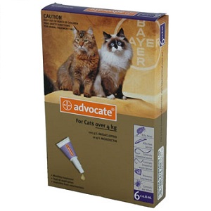 advocate purple for cats
